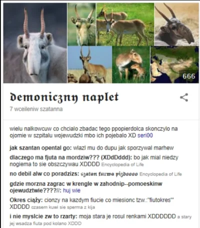 myszczur - @cytmirka: Demoniczny naplet kurła ( ͡° ͜ʖ ͡°)