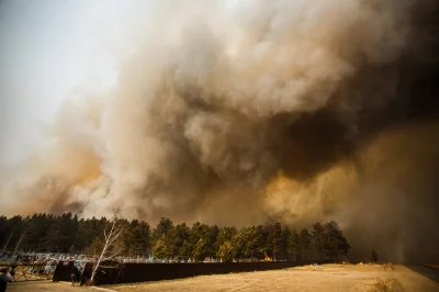 moooka - @lyncz: Kilka zdjęć z obszaru objętego pożarem, klimat na prawdę niczym z ho...