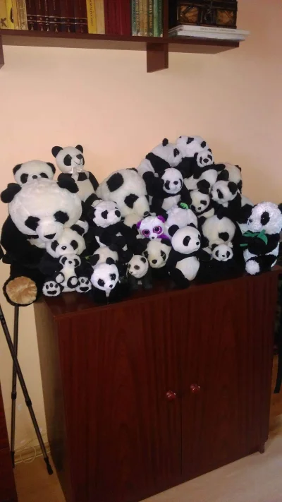 Riannon - @czajnapl dajta cokolwiek panda related. W sensie, zbieram wszystko co jest...