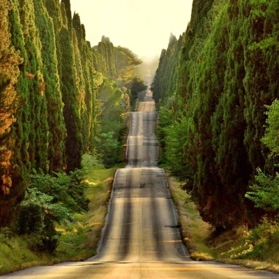 Artktur - Droga w Bolgheri, Toskania
fot. Tiziano Pieroni

Odkrywaj świat z wykope...