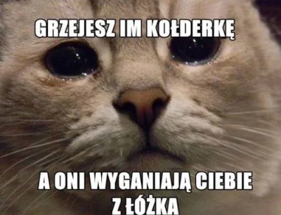 robsosl - #heheszki #humorobrazkowy #koty #smiesznekotki