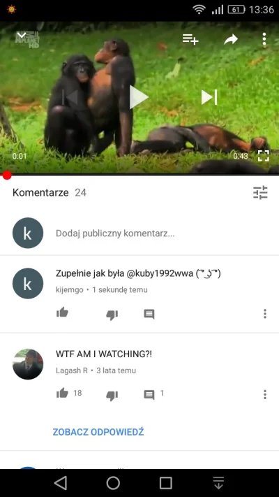 K.....y - Na zawsze zapiszesz się na kartach historii YouTube ( ͡° ͜ʖ ͡°)