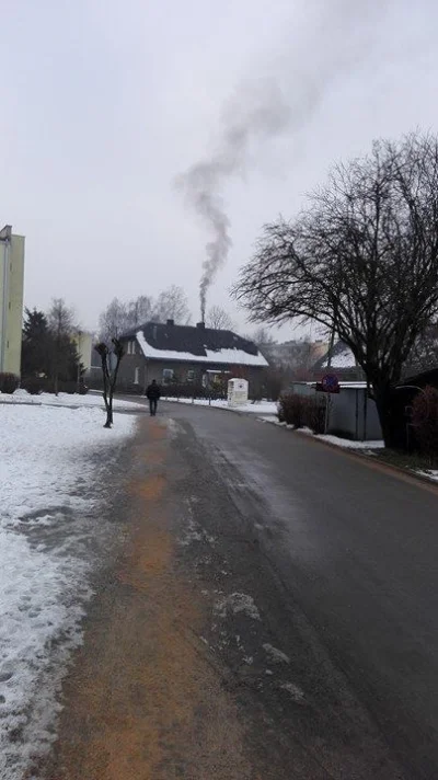 Bocislaw - Kiedy idziesz sobie spokojnie do szkoły o 8:50, a obok Ciebie wybierają pa...