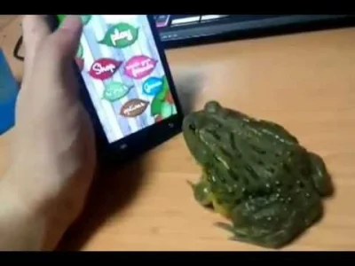 Emble - @KwadratF1: Jeśli ta żaba to tylko taka :D