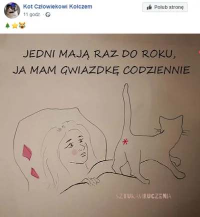 pansatan - #!$%@? co?

#niewiemjaktootagowac #rakcontent #grazynacore #kociary