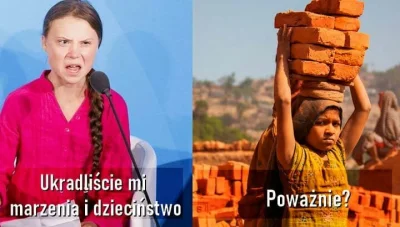 s.....s - Tak że ten...
#zamocne #gretathunberg #czarnyhumor #ciekawostki #takaprawda...