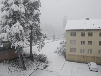 bohater - #szwajcaria okolice #bodensee, 20 cm #snieg 'u, dzisiaj :)