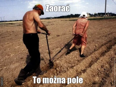 w.....e - Każdorazowo, gdy mówisz zaorać myślę o: