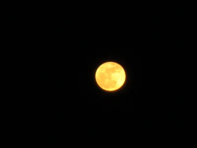 r3kc4H - Mircy! Czo ten księżyc oszalał? Na żółto dzisiaj odbija? ʕ•ᴥ•ʔ
#szczecin #a...