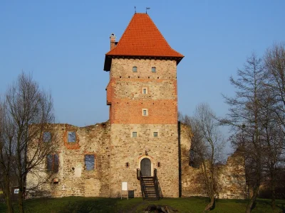 MWittmann - Zamek w Chudowie, woj. śląskie. Szkoda, że zastopowała renowacja tego zam...