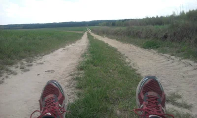 P.....f - moje nogi nie będą jutro zbyt wdzięczne za te kilka kilometrów zrobionych d...