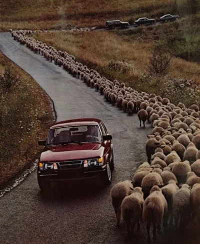 owcaa - #carboners #motoryzacja #samochody #saab #owca
Idealne połączenie - saab i o...