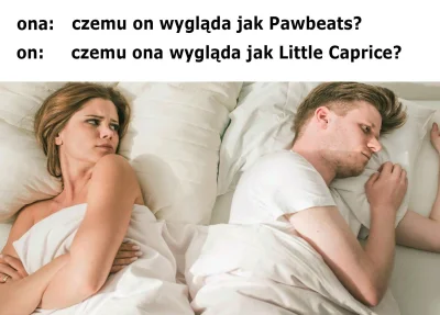 pawbeats - Mirki, oto moja krótka odpowiedź na pytania odnośnie znajomości z Caprice,...