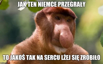 wscieklybyk - #nosacz #heheszki #humorobrazkowy #mundial #mecz