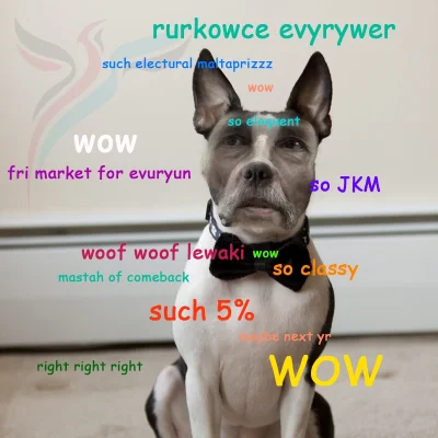 b.....a - #doge #jkm #krul #rurkowce #januszkorwinmikke #nowaprawica 



@fir3fly - n...