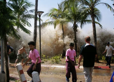 ntdc - 15 lat temu, dzień po Bożym Narodzeniu, tsunami uderzyło w wybrzeża 14 krajów ...