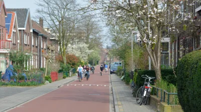 starface - Paul Goedknegt, miejski urbanista 170-tysięcznego Nijmegen, uznawanego za ...