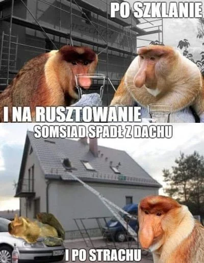 wlepierwot - #polak #nosaczsundajski #gownowpis #heheszki #humorobrazkowy