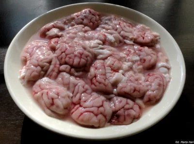 Maciek5000 - @chixi: wygląda jak mózg