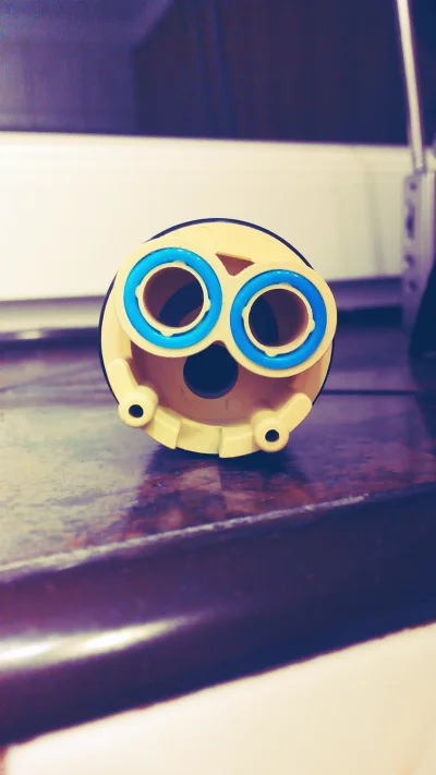 miksu1 - Czy tylko mi przypomina to zdziwionego Minionka?

#heheszki #znalezionewdomu...