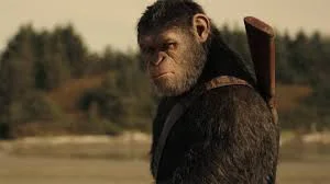 przemomemoo - A co jeśli to orangutan przyszedł do zoo oglądać człowieków?