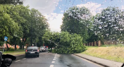 goorskypl - Potężna wichura łamie drzewa trzciną ledwo kołysze ;) #lublin ulica Unick...