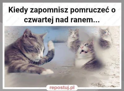 trusia - Całe szczęście, że moje Kitku nie zapomniało ʕ•ᴥ•ʔ 
#heheszki #smiesznypiese...