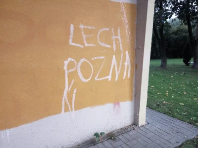 kuba824 - napisy na murac
h

#rzeszow #patologiazmiasta #heheszki #lechpoznan