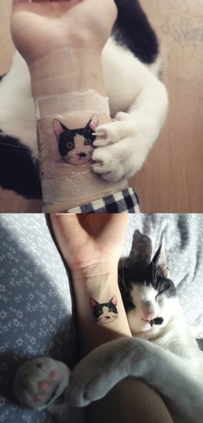 Mikimoto - #tatuaze #koty #zwierzaczki