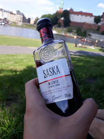 cheeky_90 - Dla mnie? Pyszota. W promce za 9,99 cebulionów (｡◕‿‿◕｡) #alkohol #krakow ...