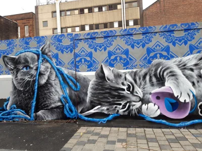 Catit - Kocie murale w Glasgow ʕ•ᴥ•ʔ
#streetart #sztuka #koty #zwierzaczki #szkocja