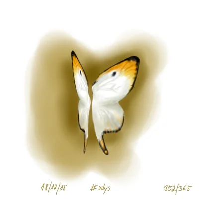 odys - 352/365 ; skrzydła 
#365grudzien #odysrysuje #rysujzwykopem