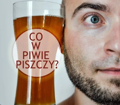 Jerry_Brewery - Świeża porcja newsów ze świata piwnego - endżoj it :)
https://jerryb...