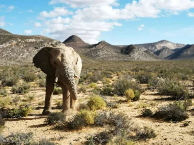 ch1nczyk - Safari, RPA, 2019

Zrobione smartfonem Huawei P30 Pro


#mojezdjecie ...