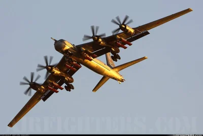 piotr-zbies - Niedźwiedź na wolności
#aircraftboners #militaria #militaryboners #bom...