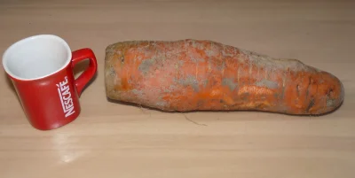 Paputka - Ale bydle Oo

Kubek nescafe for scale ( ͡° ͜ʖ ͡°)



#heheszki