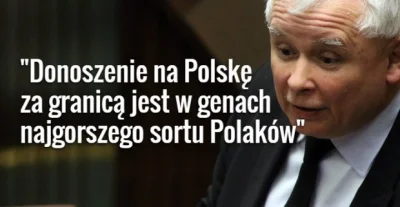a.....1 - A sami najwięcej krzyczeli o "donoszeniu" na Polskę za granicą