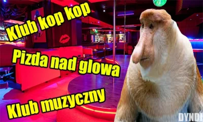 dyndi - Ej jak to się wymawia?

#polak #nosaczsundajski #heheszki #humorobrazkowy #...