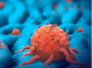 RFpNeFeFiFcL - Czy nowe gatunki mogą wyewoluować z nowotworów? Być może tak.

Nauko...