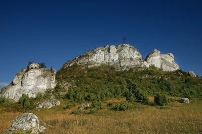 Jelen_Szlachetny - W Olsztynie koło Częstochowy jest Góra Biakło, również nazywana ma...