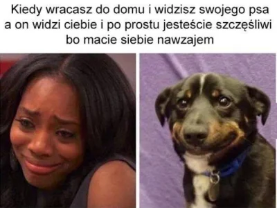 adziabadzia - #humorobrazkowy #logikarozowychpaskow #smiesznypiesek