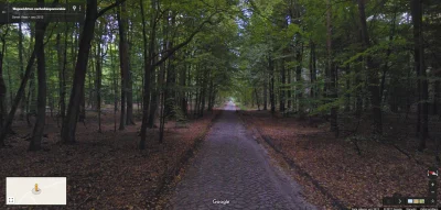 pogop - Ładnie brukowana droga w samym środku lasu - domyślam się, że jeszcze poniemi...