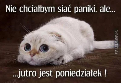 Instynkt - #koty #humorobrazkowy