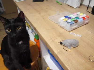NauczcieSiePisacPoPolsku - Mame, napraw mysz (╥﹏╥)

#koty