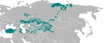 wiera87 - @Jeder: Tak, Rosjanie mają tylko podobny język do naszego, reszta to miks k...