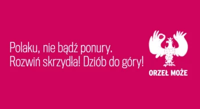 P.....n - Pamiętacie? #marszniepodleglosci #orzelmoze #bronek #polska