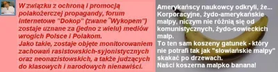 WolnyLechita - @bekazwypoku: > Nam przysługi też nie robisz, bo szczucia i trollingu ...