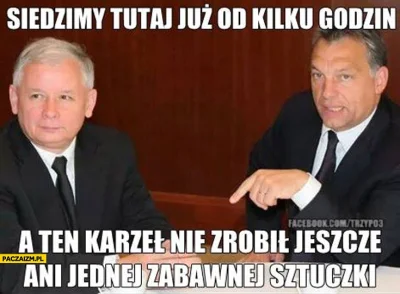 Caledon - A gdzie Szydło?
#heheszki #humorobrazkowy