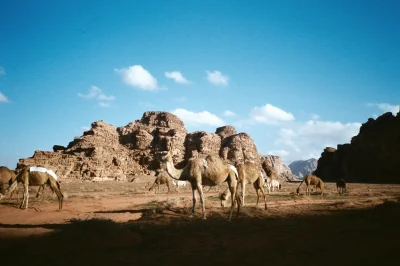 Meriu - Jordanai to piękny, niezepsuty turystyką kraj (ʘ‿ʘ) Wspaniałe miejsce dla tur...