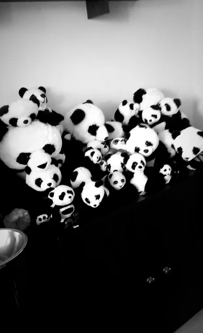 Riannon - Nudzi mi się, więc wstawiam zdjęcie mojej kolekcji pluszowych pand(｡◕‿‿◕｡)....